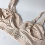 Venus Full Figure Bra Photo 5