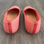 Birdies  The Starling Flats in Lipstick Raffia Size 10 Photo 5
