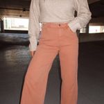 Lane 201 Clay Mineral Pants Photo 0
