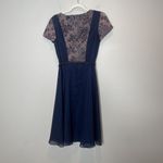 JS Collections  Navy Nude Lace Belted Knee Length Formal Dress Short Sleeve Sz 6 Photo 5