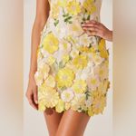 ASTR  The Label Aisha Floral Appliqué Mini Dress S Photo 4