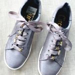 Sam Edelman Frost Gray Charm Laces Sneakers Photo 0