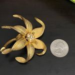 Vintage Unsigned Brushed Gold 3D Flower Brooch Photo 3