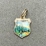 VTG Cook Forest PA Sterling Silver Souvenir Shield Charm Enamel Made In Germany Green Photo 1