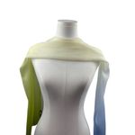 Echo Gradient Chiffon Scarf For Women Photo 3