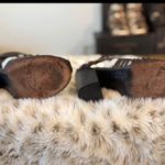 FREEBIRD by Steven  Poison 7  Photo 2