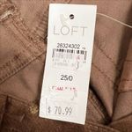 Loft NWT  Polka Dot Velvet Skinny Jeans Pants Size 25 Brown and Metallic Gold Photo 7