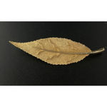 Set Of 3 Flower Floral Leaf Leaves Gold Tone Brooch Pins Photo 3