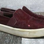 Vince BerlināSneaker Slip On Calf Hair Loafer 8.5M Photo 0