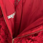 Trina Turk  Rowen Crochet-Lace Dress Photo 12