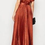 Paper Crane Maxi Dress Photo 3