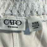 Cato Womens Lace Cottagecore Maxi Skirt Size 14/16W Boho Feminine Ethereal Photo 5