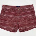 American Eagle Outfitters Boho Printed MIDI Shorts Women’s Size 4 Photo 0
