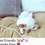 Wax Jean Wax jeans distressed denim floral embroidered jean jacket EUC Photo 8