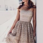 Alice + Olivia NWT  Embellished Lace Midi Alma Sequin Gold Dress Scallop Cocktail Photo 0