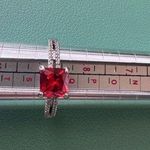 Fragrant Jewels  Red and Silver NWOT Ring Size 9 Photo 0