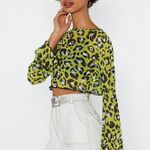 Nasty Gal Leopard Mesh Top Photo 2