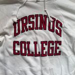 Champion Ursinus College Hoodie Photo 2