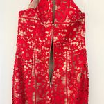 Jarlo London Red Lace Halter Neck Mermaid Flare Long Maxi Dress UK 12/US 8 Photo 8