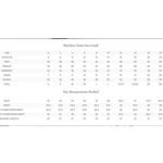 Notte Marchesa  Embroidered Glitter Tulle Asymmetrical Ruffle Tiered Dress Photo 11