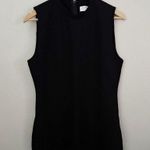 Everlane  | Black High Neck Sleeveless Ponte Bodycon Maxi Dress | Size Medium Photo 1