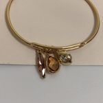 LC Lauren Conrad LC nwt Lauren Conrad Gold Bangle Bracelet Photo 1