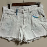 Ralph Lauren Polo by  Crosby Boho White Rainbow Shorts- Size 28 Photo 0