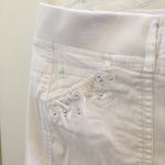 Gloria Vanderbilt FINAL MARKDOWN Ladies  shorts 8 Photo 1