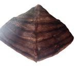 Vintage Elegance In Furs By Eunice Brown Striped Mink Fur Stole Photo 2