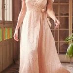 Sézane NWT Sezane Armelle Poudre Pink golden polka dots maxi dress SILK SZ 36 US4 bust36 Photo 0