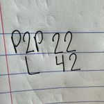 Nina Piccalino Dress 14 Navy Blue Leaf Button Tie Lagenlook Bemberg Minimal Size L Photo 3