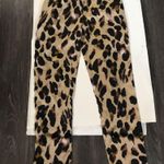 Nasty Gal So Fierce Leopard Pants 6 Dopamine Animal Print Mobwife Bratz Casua Photo 2