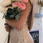 Gold Sequined Grown Photo 5