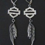 Limited! Wing Earrings Photo 0