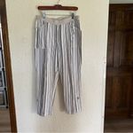 Chico's "Knit" Earth Tones Striped Pull On Pants Size 1.5 Casual Stretch Capri Photo 1