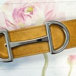 Steve Madden  Gold/Mustard Belt Small Photo 0