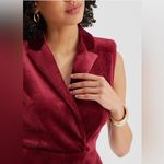 EXPRESS Beautiful dressy VELVET jumpsuit 🌹🌹$158 Photo 1