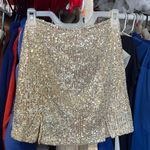 love on a hanger sparkly skirt Photo 0