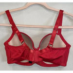 Frederick's of Hollywood  Red Push Up Bra Padded Underwire Mesh Bow‎ 34DD Photo 1