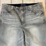 Democracy “Ab”Solution Size 16W Faded Gray Denim Straight Leg Pants Photo 5