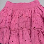 American Eagle  Outfitters Pink Smocked Skater Mini Skirt Photo 1