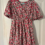 Floral Pink and Green Dress Size XL Photo 0