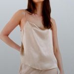 Aritzia Babaton Benji camisole in Champagne Photo 0