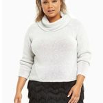 Torrid  Cropped Cowl Neck Sweater Light Gray Photo 0