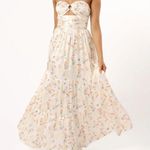 Petal and Pup Maxi  Dress Photo 0