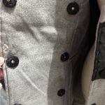 Venus  gray coat Photo 4