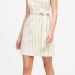 Banana Republic Button Front Dress in Green Stripe Photo 0