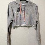 Ivy Park  Grey Cropped Logo Front Hoodie Sweatshirt XXS Photo 0