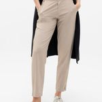 Athleta Women’s Brooklyn Ankle Pants Size 8 Abalone Tan *see condition* Photo 0