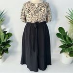 NWT!Leopard Print Black Skirt Belt Pocket Ruffle Sleeve Dress Size 28 or 5X Photo 1